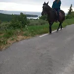 Na Kmetiji S Konji - Pogelsek Анкаран