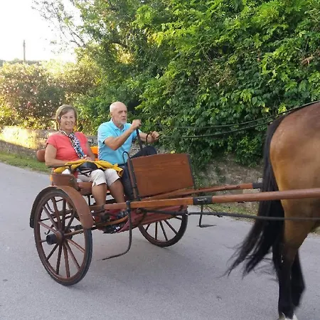 Na Kmetiji S Konji - Pogelsek Apartma