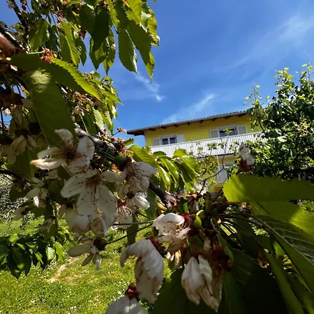 Apartma Na Kmetiji S Konji - Pogelsek *