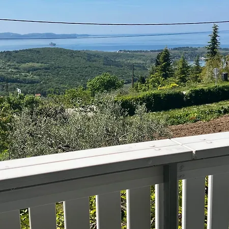 Na Kmetiji S Konji - Pogelsek *