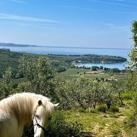 Na Kmetiji S Konji - Pogelsek