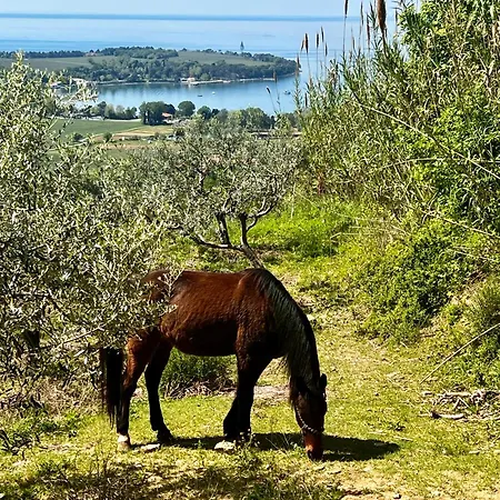 Na Kmetiji S Konji - Pogelsek