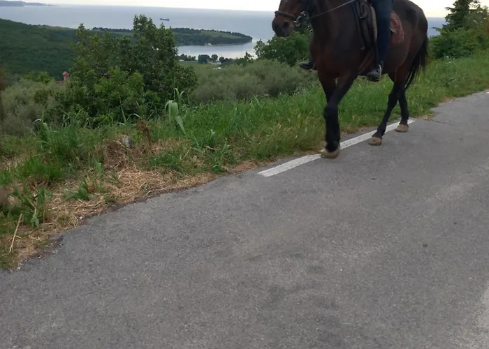 Na Kmetiji S Konji - Pogelsek Ankaran