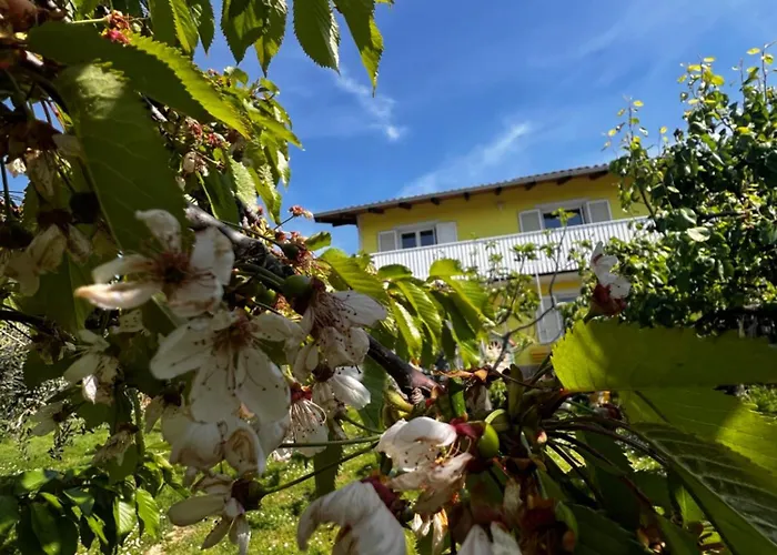 Appartement Na Kmetiji S Konji - Pogelsek *