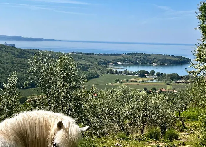 Na Kmetiji S Konji - Pogelsek