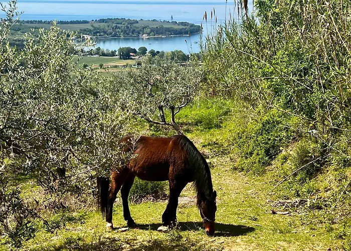 Na Kmetiji S Konji - Pogelsek