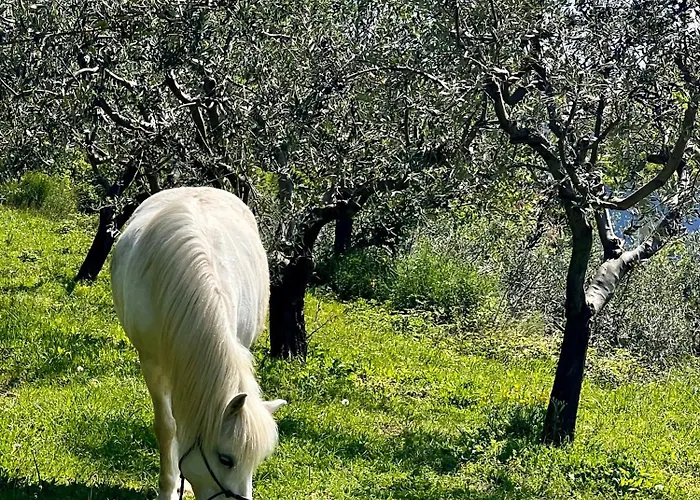 Na Kmetiji S Konji - Pogelsek شقة أنكاران